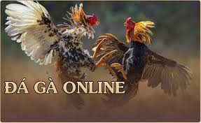 Hướng dẫn tìm hiểu về game đá gà online tại các cổng game trực tuyến
